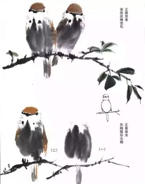 國畫鳥的畫法|【國畫教程】麻雀、太平鳥繪畫技法詳解